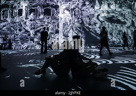 Rio De Janeiro, Brasilien. 28.. Juli 2022. Die Besucher besuchen am 28. Juli 2022 die immersive VAN GOGH LIVE 8K Kunstausstellung in Rio de Janeiro, Brasilien. Quelle: Wang Tiancong/Xinhua/Alamy Live News Stockfoto