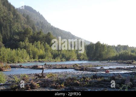 Vedder River, Chilliwack BC, Kanada, Sunrise Stockfoto