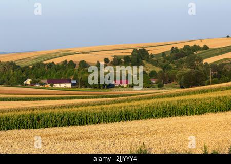 Miechhow, Polen. 28.. Juli 2022. Getreidefelder werden während der Erntezeit in Miechhow bei Krakau gesehen, während die Hitzewelle in die mittel- und osteuropäischen Teile Europas zieht. Kredit: SOPA Images Limited/Alamy Live Nachrichten Stockfoto