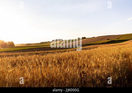 Miechhow, Polen. 28.. Juli 2022. Getreidefelder werden während der Erntezeit in Miechhow bei Krakau gesehen, während sich die Hitzewellen in Mittel- und Osteuropa bewegen. Kredit: SOPA Images Limited/Alamy Live Nachrichten Stockfoto