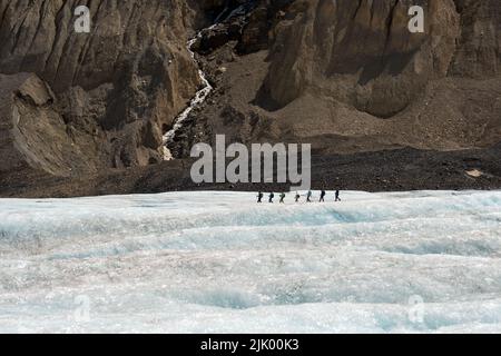 Gruppe von Menschen, die auf dem Athabasca Glacier Walk wandern, Jasper Nationalpark, Alberta, Kanada. Stockfoto