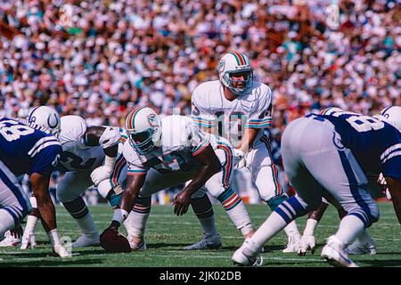NFL Football Dan Marino Quarterback für die Miami Dolphins. Stockfoto