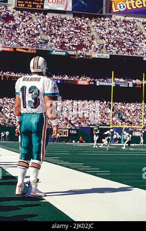 NFL Football Dan Marino Quarterback für die Miami Dolphins. Stockfoto