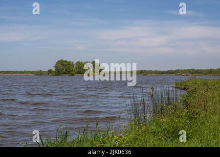 Teich in Brenne in Frankreich Stockfoto