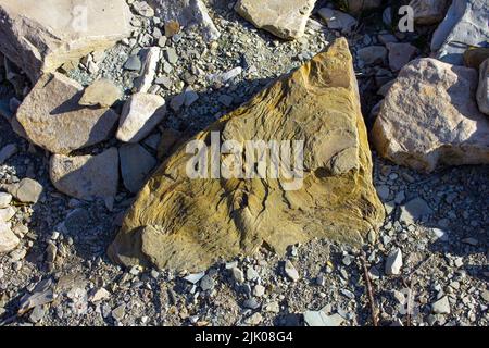 Schöner strukturierter Stein am Fluss. Stockfoto