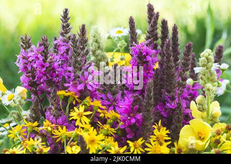 Bunte blühende Kräuterwiese mit lila und gelb blühenden Wildblumen. Kunstdekoration, florales Design. Wunderschöne Naturtapete. Sommerlandschaft Stockfoto