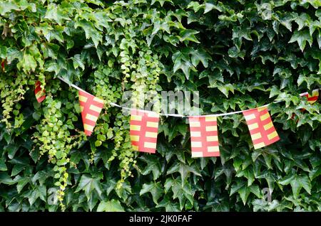 Die rot-gelbe Kreisflagge von northumberland england Stockfoto