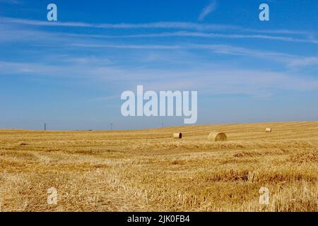 Runde Strohballen in einem frisch angebauten Feld northumberland england YK Stockfoto