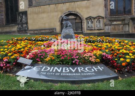 Graue Brüder bobby Statue edinburgh schottland Großbritannien Stockfoto