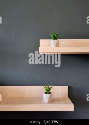 Wandregale aus Holz mit sukkkkulenten Pflanzen in Betontöpfen auf dunkelgrauem Hintergrund Stockfoto