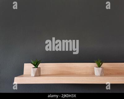 Wandregal aus Holz mit sukkkkulenten Pflanzen in Betontöpfen auf dunkelgrauem Hintergrund Stockfoto