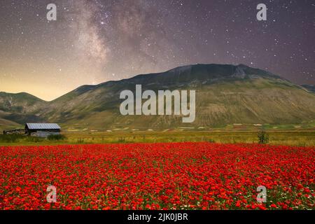 Blick auf die Milchstraße über ein Feld roter Mohnblumen im Pian Grande Stockfoto