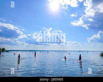 Eine Möwe am Himmel über dem Wasser, an einem heißen, sonnigen Sommertag baden Menschen. Blauer Himmel und See. Stockfoto