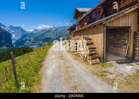 Hiling nach Wengen von kleine Scheidegg im Berner Oberland der Schweiz Stockfoto