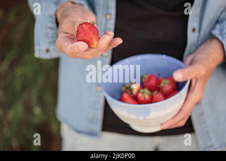 Hände einer älteren Frau, die eine Schüssel mit reifen Erdbeeren in der Hand hält Stockfoto