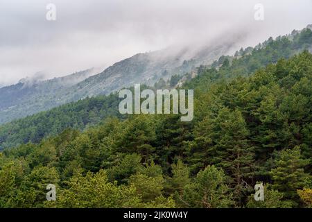 Luftaufnahme der Hochgebirgslandschaft mit wolkenbedeckten Gipfeln und hohen grünen Kiefern. Canencia Madrid. Stockfoto
