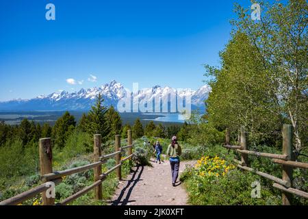 Jackson, WY, USA - 27. Jun 2022: Wanderer erkunden Signal Mountain, den höchsten Punkt, zu dem Besucher im Grand Teton National Park fahren und die Aussicht genießen können Stockfoto