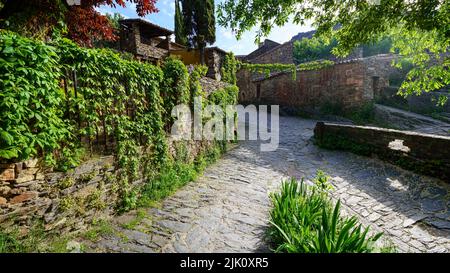 Alte Stadtgassen mit efeubedeckten Wänden und Morgenlicht. PAtones de Arriba Madrid. Spanien. Stockfoto
