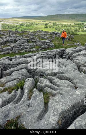 Einsame weibliche Walkerin in Orange auf dem Kalksteinpflaster, Southerscales Fell, Inglborough, Ingleton, North Yorkshire, England Stockfoto