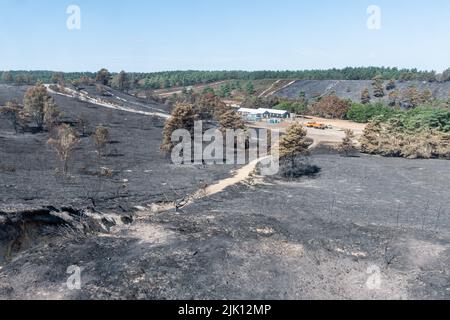 Hankley Common Wildfire, Surrey, England, Großbritannien. Fotografiert 5 Tage nach dem Großbrand, der am 24.. Juli 2022 ausbricht, und wurde vom Surrey Fire & Rescue Service zu einem Großschaden erklärt. Dies war das dritte einer Reihe von Bränden, die während des heißen, trockenen Wetters im Juli dieses Jahres üblich waren. Eine Fläche von 50 oder mehr Hektar Heide, ein wertvoller Lebensraum für bodenbrütende Vögel und seltene Reptilien, wurde zerstört. Die Feuerwehr überwacht weiterhin den Standort und dämpft alle Hotspots. Die Ursache des Feuers bleibt unbekannt. Stockfoto