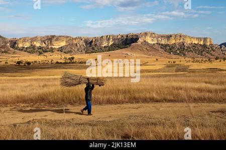 Landschaft des Isalo Nationalparks, Madagaskar, Afrika Stockfoto