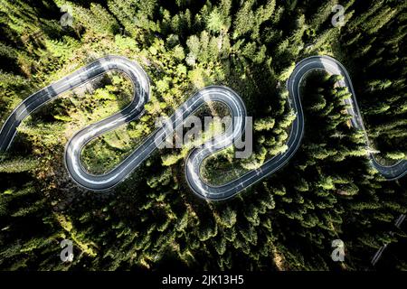Luftaufnahme von Haarnadelkurven der malerischen Bergstraße, die einen grünen Wald überquert, Giau Pass, Dolomiten, Venetien, Italien, Europa Stockfoto