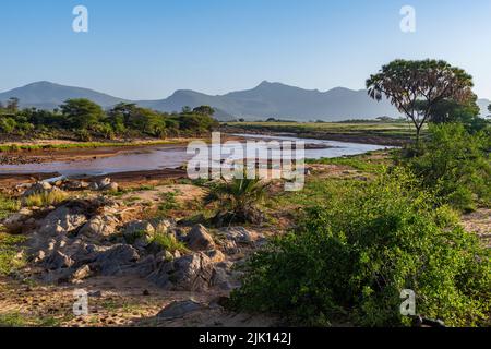 Der Ewaso Ng'iro Fluss fließt zwischen dem Buffalo Springs National Reserve und dem Samburu National Park, Kenia Stockfoto