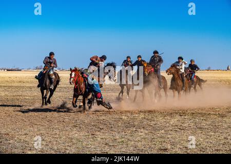 Männer üben Kokpar, nationales Pferdespiel, Kasachstan, Zentralasien, Asien Stockfoto