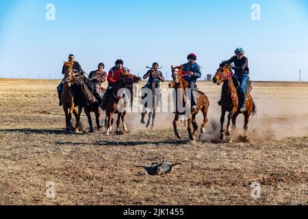 Männer üben Kokpar, nationales Pferdespiel, Kasachstan, Zentralasien, Asien Stockfoto