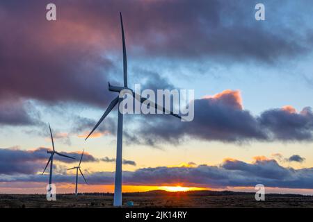 Windturbinen bei Sonnenuntergang mit stürmischem Himmel, Whitelee Windfarm, East Renfrewshire, Schottland, Vereinigtes Königreich, Europa Stockfoto