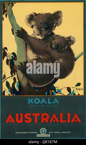 Vintage 1930s Travel Poster - AUSTRALIEN / KOALA (EINHEIMISCHER BÄR). 1931. Stockfoto