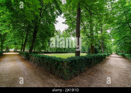 Zwei alternative Wege in öffentlichen Parks mit Schotterwegen auf beiden Seiten. Stockfoto