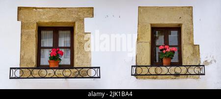 Zwei Fenster eines alten Hauses mit einer weißen Wand und Blumentöpfen. Santander. Stockfoto