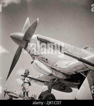 Ein Pilot der RAF-Staffel Nr. 6 in Ägypten, von seinem Hawker-Orkane Mark IID, der die Panzerabwehrkanone Vickers 40mm zeigt, die bei den Kämpfen in Nordafrika gut eingesetzt wurde. Der „The Supersmarine Spitfire“, ein britisches Einsitzer-Kampfflugzeug der Jahre 1930s–40s, wurde im öffentlichen Bewusstsein während der Schlacht von Großbritannien im Jahr 1940 überschattet, aber der „The Supermarine Spitfire“ verursachte 60 Prozent der Verluste, die die Luftwaffe bei der Verlobung erlitten hatte. Und kämpfte in allen großen Theatern des Zweiten Weltkriegs. Stockfoto