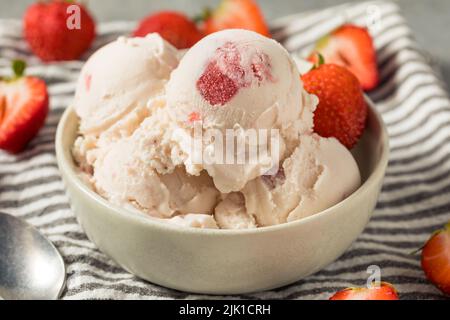 Hausgemachtes Bio-Erdbeereis in einer Schüssel Stockfoto