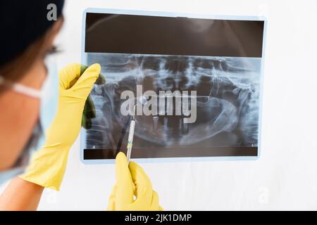 Er zeigt ein altes, junges weibliches Männchen und erklärt das Verfahren Stockfoto