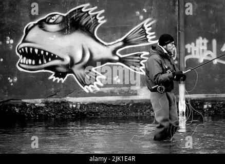 Fliegenfischen, Angeln in der Motala ström, Norrköping, Schweden. Stockfoto