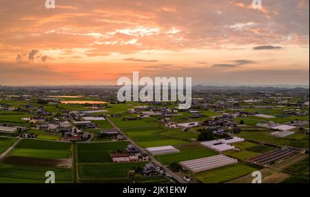 Panoramablick auf Reisfelder und Gewächshäuser bei Sonnenuntergang Stockfoto