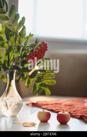 Stillleben im Herbst mit Ruderer und Äpfeln auf einem Tisch in einer gemütlichen Wohnlandschaft. Stockfoto