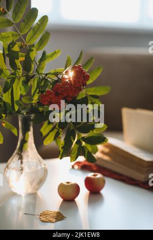 Stillleben im Herbst mit Ruderer und Äpfeln auf einem Tisch in einer gemütlichen Wohnlandschaft. Stockfoto