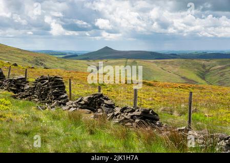 Shutlingsloe vom Cats Tor an der Grenze zu Ches-Hire, Derbyshire. Ein beliebter Spaziergang in der Nähe des Goyt Valley im Peak District. Stockfoto