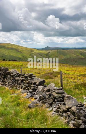 Shutlingsloe vom Cats Tor an der Grenze zu Ches-Hire, Derbyshire. Ein beliebter Spaziergang in der Nähe des Goyt Valley im Peak District. Stockfoto