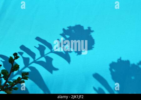 Blattschatten auf einem blauen Stoffhintergrund Stockfoto