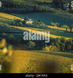 Panorama der Chianti-Weinberge bei Sonnenuntergang, Toskana, Mittelitalien, Europa. Stockfoto