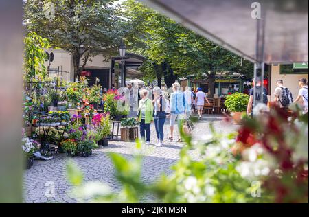 München, 6. Juli 2022: Blick über den Viktualienmarkt. Die Menschen schlendern durch den Platz, schauen und kaufen allerlei Dinge. Ein Blumenstand bei t Stockfoto