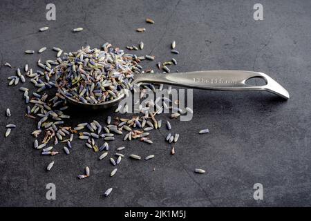 Getrockneter kulinarischer Lavendel von der Seite betrachtet: Ein Messlöffel gefüllt mit getrockneten Lavendelblüten Stockfoto