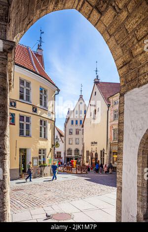 Blick auf die Altstadt von den Bögen des Rathauses aus dem 14.. Jahrhundert (Tallinna raekoda) auf dem Platz von Tallinn, der Hauptstadt Estlands Stockfoto