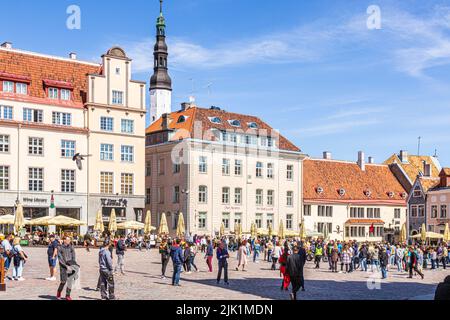 Der belebte Rathausplatz in der Altstadt von Tallinn, der Hauptstadt Estlands Stockfoto