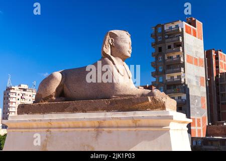 Statue einer Sphinx im Pompeys Pillar Park in Alexandria, Ägypten Stockfoto