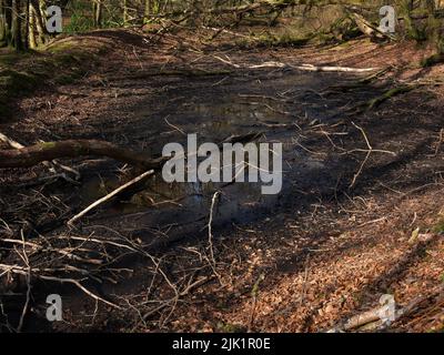 Einst zur Stromversorgung eines Gutsensägewerks verwendet, wurden die ausgetrockneten und überwucherten Überreste eines Mühlenteiches vor etwa 70 Jahren aufgegeben. Argyll und Bute. Schottland Stockfoto